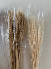 Load image into Gallery viewer, E294A20917C74A2027E13522192912B6/22212245_35154629-bc73-4f6d-bf05-8f20ae27c25a.jpg